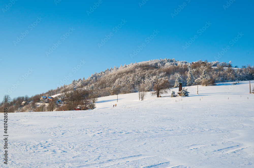 Winter in Czech republic, Bílé Karpaty, snow, forester, tree