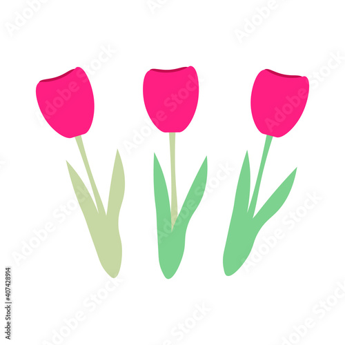 Vector isolated three pink tulips in flat style on a white background. Design element for postcard, poster, wallpaper, print, textile, packing, background. Illustration with flowers.