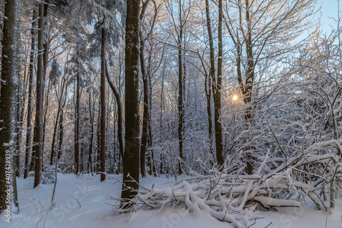 Winter in Czech republic, Bílé Karpaty, snow, forester, tree