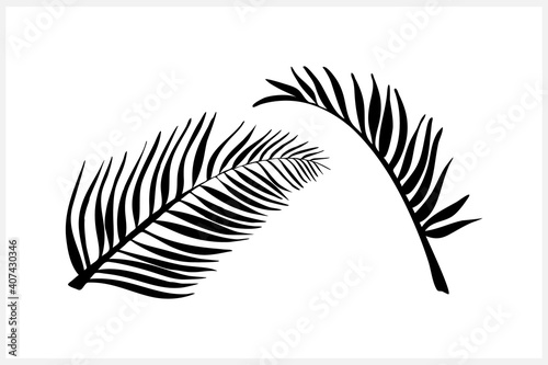 Doodle leaf of palm set icons isolated on white. Stencil leaves. Natutal collection. Vector stock illustration. EPS 10