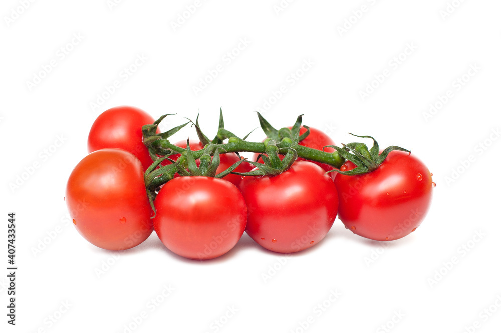 Branch of fresh tomatoes on white background Branch of fresh tomatoes on white background