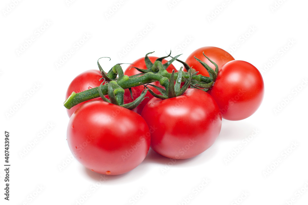Red tomatoes with green stems on white background Red tomatoes with green stems on white background