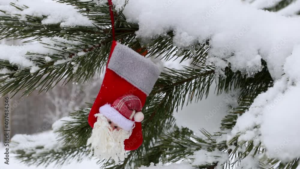 christmas gift sock hanging on christmas tree christmas gift sock hanging on christmas tree