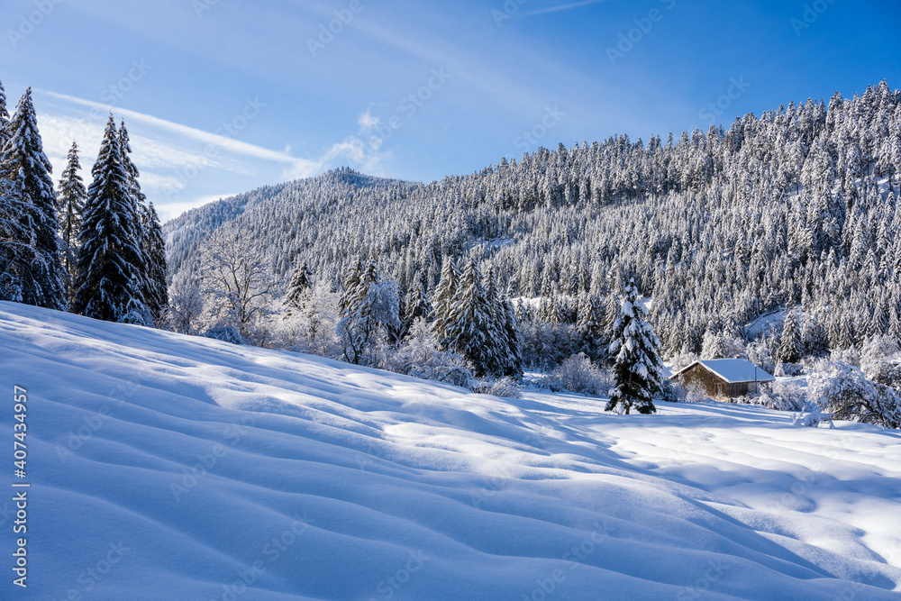 Le grain et les reliefs de la neige sous l'effet du vent, lieu-dit Le Rudlin, dans la vallée de la Haute-Meurthe, Vosges, France