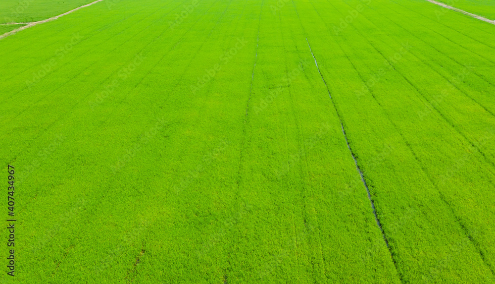 field background, top view landscape, nature
field background, top view landscape, nature