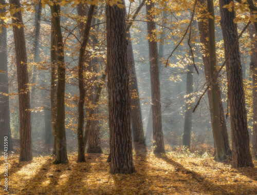 Fototapeta Naklejka Na Ścianę i Meble -  OLYMPUS DIGITAL CAMERA
