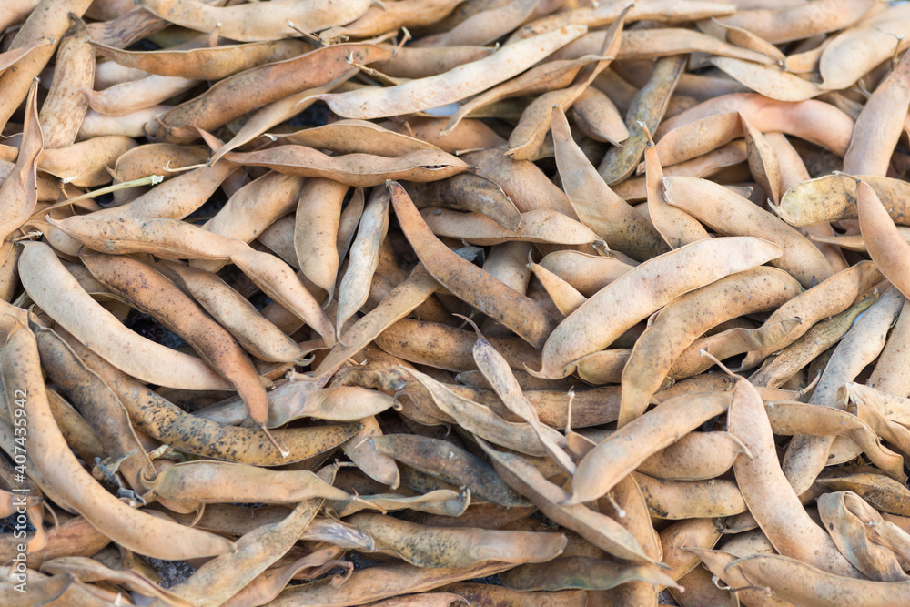 Harvested ripe pods of kidney bean on heap. Pile of dry raw pods of haricot plant (Phaseolus vulgaris) as natural background. Organic farming, healthy food, BIO viands, back to nature concept. Harvested ripe pods of kidney bean on heap. Pile of dry raw pods of haricot plant (Phaseolus vulgaris) as natural background. Organic farming, healthy food, BIO viands, back to nature concept.