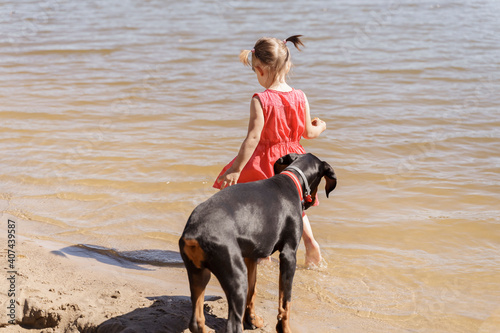 little girl and doberman are walking along the coast