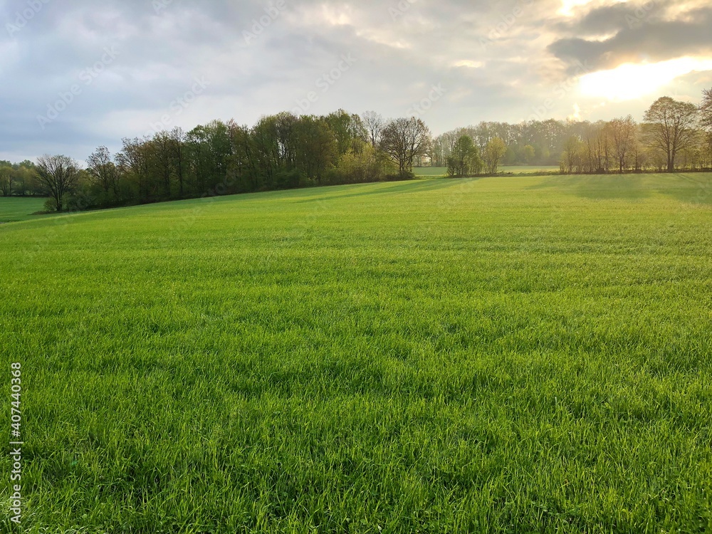 Feld im Sonnenuntergang