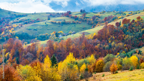Colorful forests in the warm Carpathian mountains covered with thick gray fog