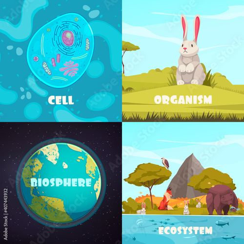 Biological Hierarchy 2x2 Compositions