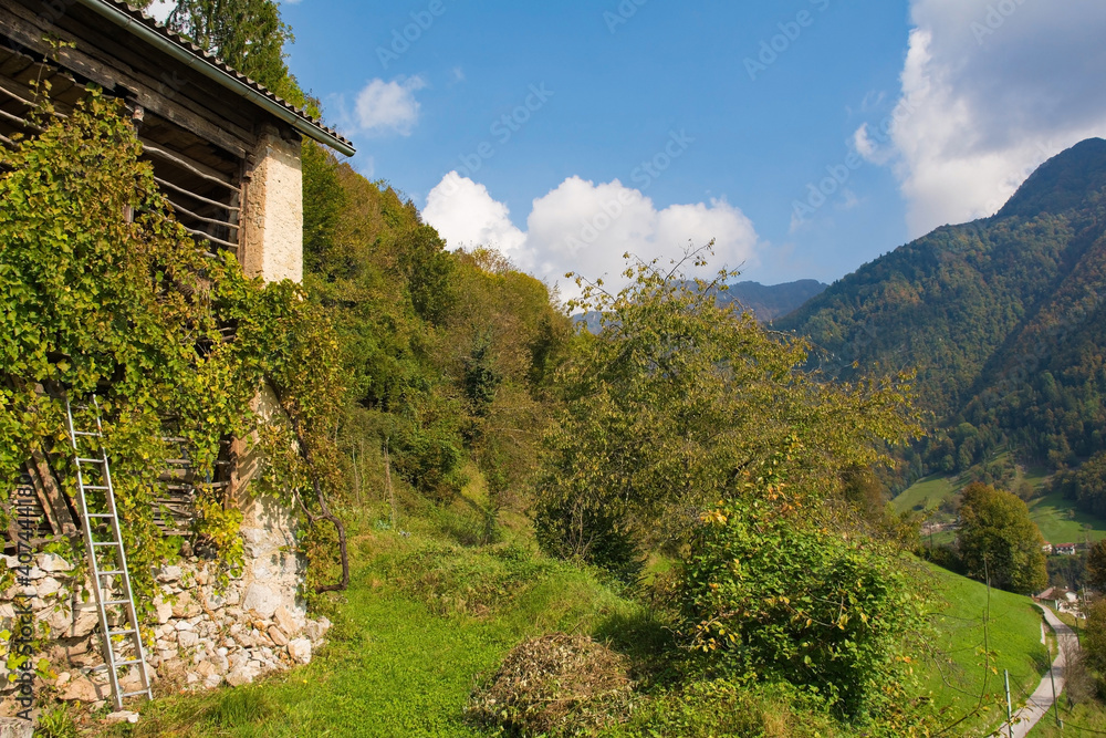 The autumn landscape near Zadlaz-Cadrg and Zatolmin in the Tolmin district of the Slovenian Littoral or Primorska region of western Slovenia. An old farm building for storing hay is on the left
