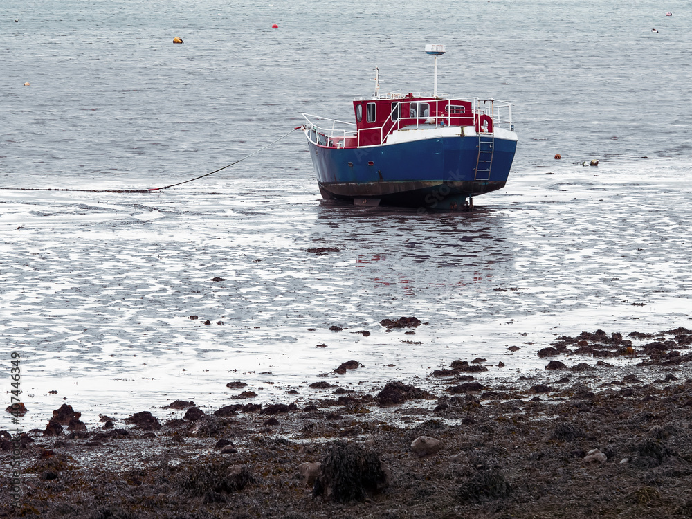 Naklejka premium Small fishing boat at low tide by a shore. Blue and red color of the vessel. Calm water surface.