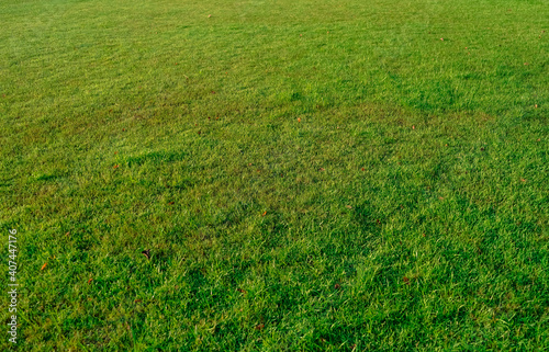 Green lawn pattern and texture background.