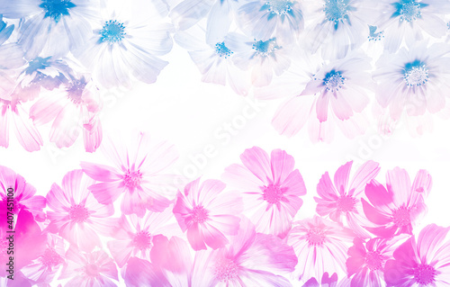 a beautiful floral background from flower petals