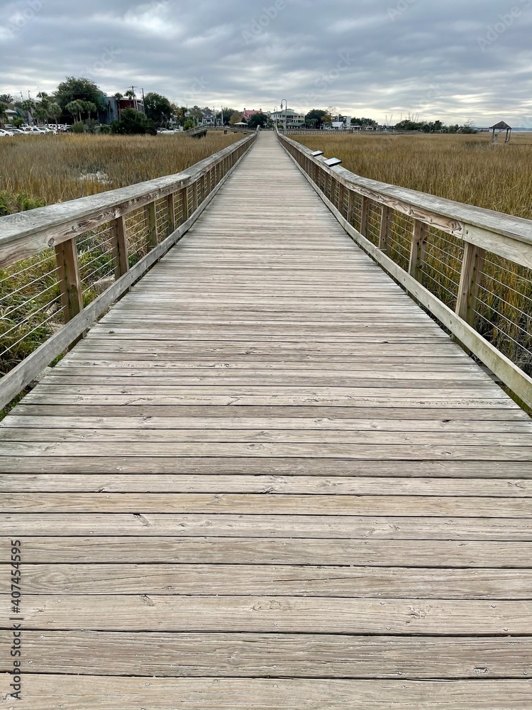 Bridge pathway in the swamplands. 