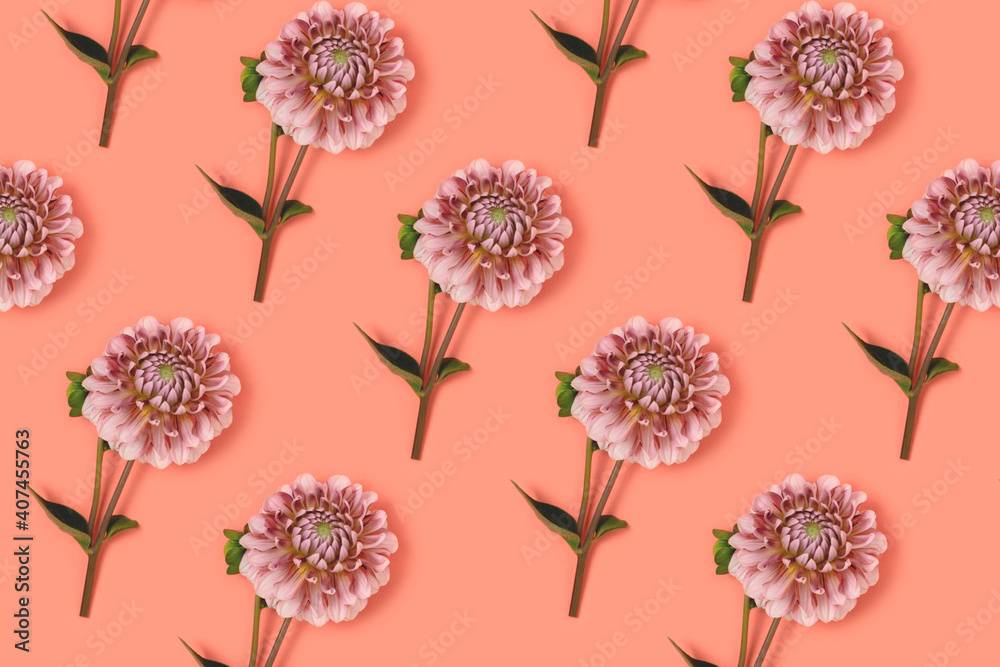 Repetitive pattern made of dahlia flower on a coral background. Springtime tenderness concept. Repetitive pattern made of dahlia flower on a coral background. Springtime tenderness concept.