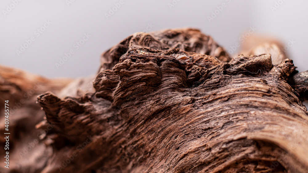 Driftwood, wood texture in volume. Decorative wooden element, close-up, minimalism. Art object for the interior. The curved root of an old tree. Wooden background. Driftwood, wood texture in volume. Decorative wooden element, close-up, minimalism. Art object for the interior. The curved root of an old tree. Wooden background.