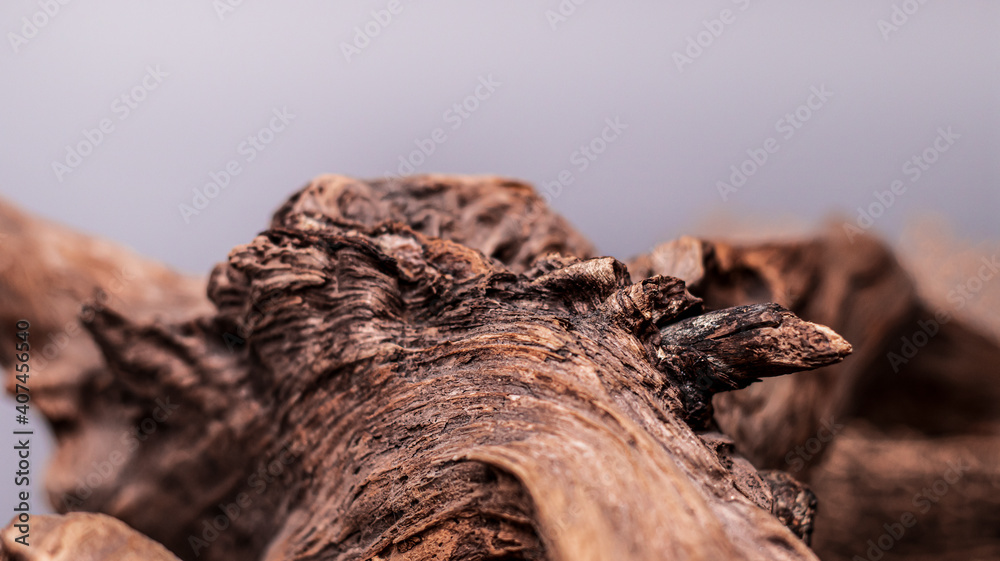 Driftwood, wood texture in volume. Decorative wooden element, close-up, minimalism. Art object for the interior. The curved root of an old tree. Wooden background.