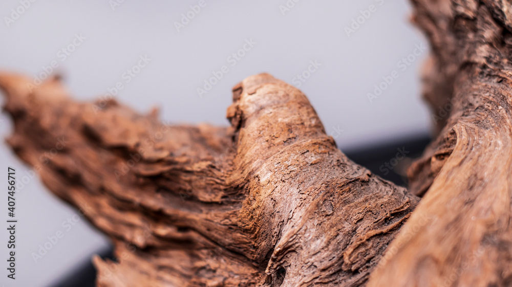 Driftwood, wood texture in volume. Decorative wooden element, close-up, minimalism. Art object for the interior. The curved root of an old tree. Wooden background. Driftwood, wood texture in volume. Decorative wooden element, close-up, minimalism. Art object for the interior. The curved root of an old tree. Wooden background.
