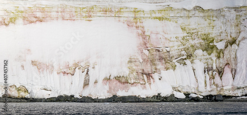 View of the pink and green snow algae-covered glacier's edge off the coast of Wiencke Island in the Antarctic Peninsula. 