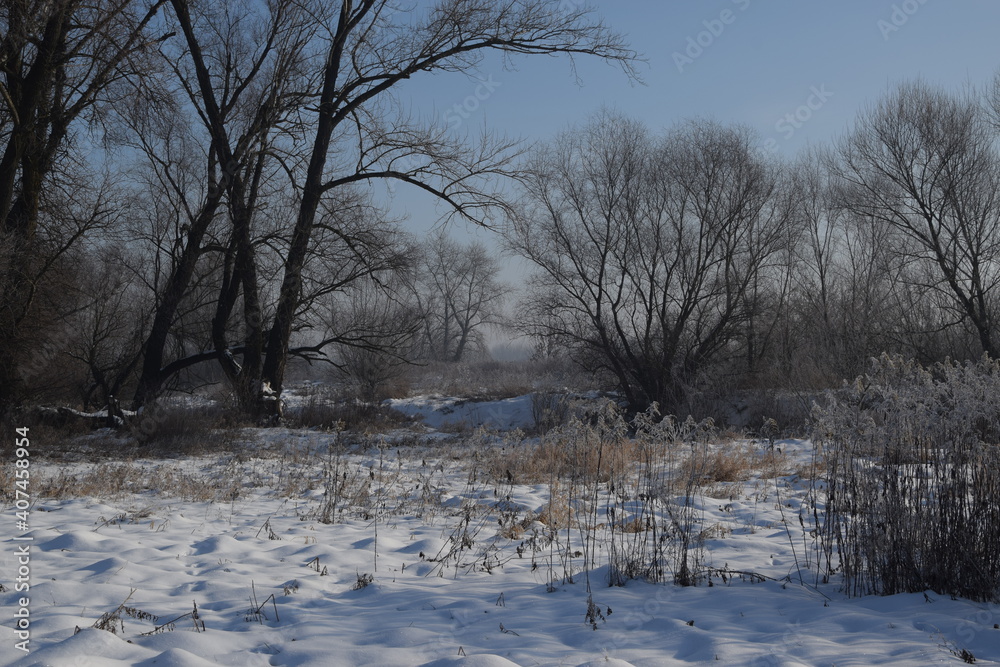 Winter landscape with snow and trees, beautiful wild nature Winter landscape with snow and trees, beautiful wild nature