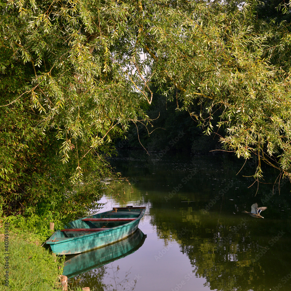 Carré barque sur la sèvre Niortaise dans le Marais Poitevin, département de la Vendée en région Pays de la Laoire, France