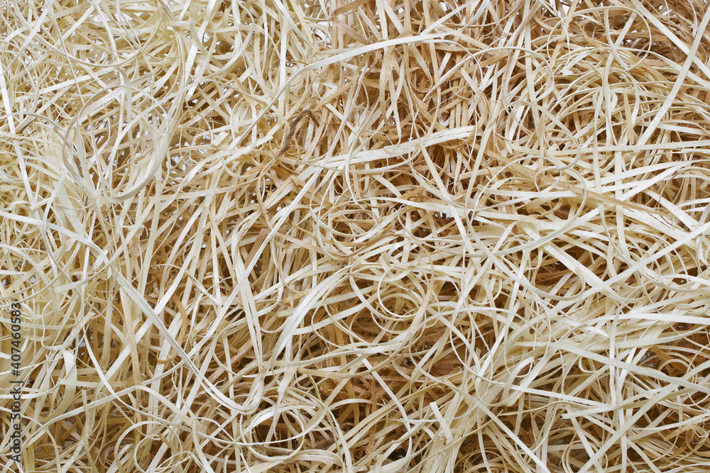 wood slivers, cut from logs, mainly used in packaging wood slivers, cut from logs, mainly used in packaging