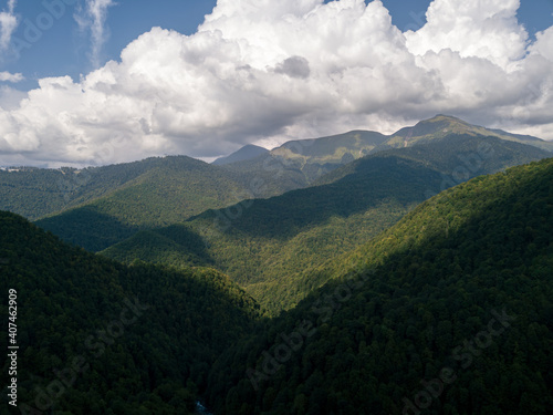 mountains covered with green trees