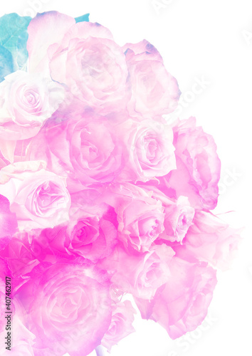 roses in pastel colors - floral background