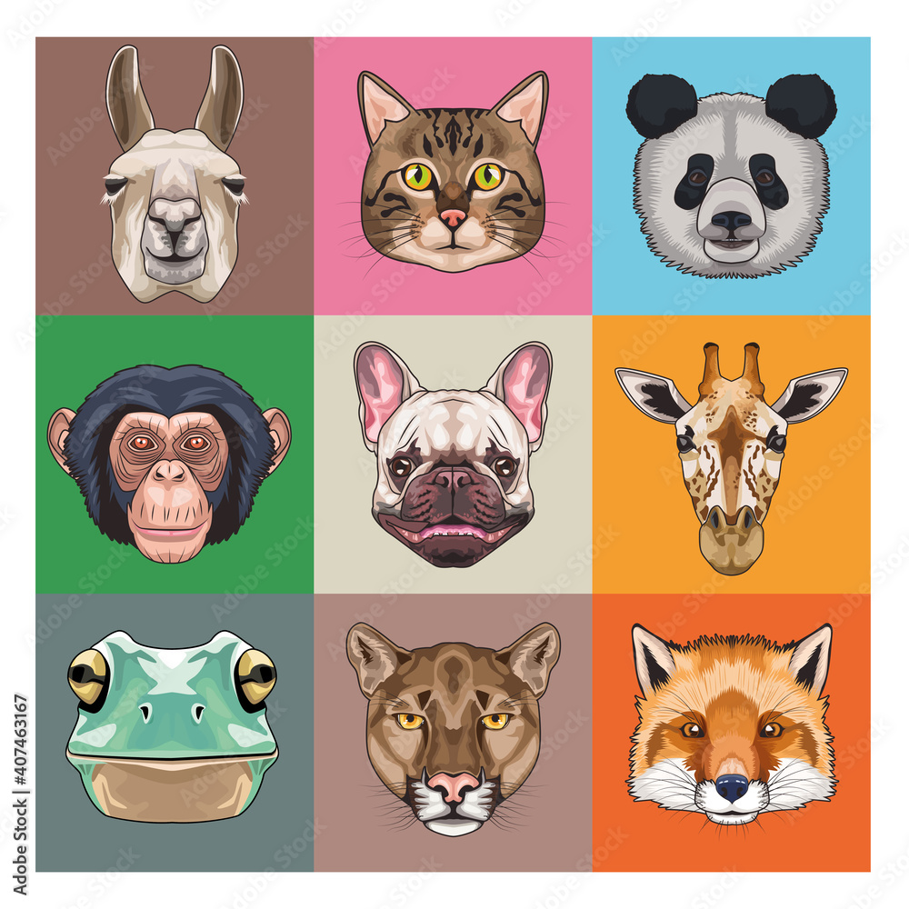 Fototapeta premium bundle of nine animals domestics and wild icons
