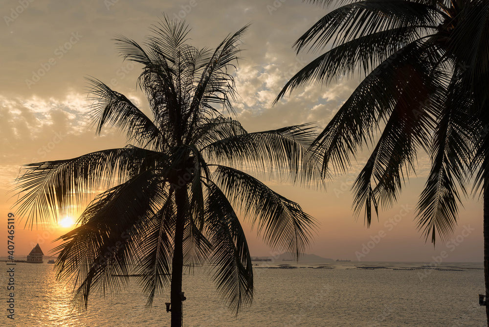 Palm trees silhouettes on tropical beach at sunset time in the summer period.