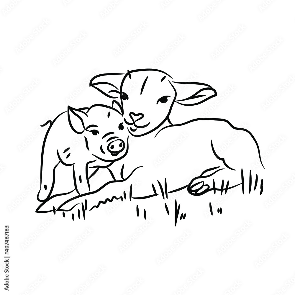 Vector doodle drawing of a little sheep and piglet on a farm. Hand drawn cute animals on the lawn. Vector doodle drawing of a little sheep and piglet on a farm. Hand drawn cute animals on the lawn.