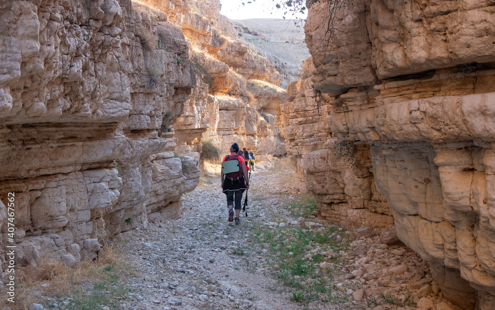 Hikers on a hiking trail inside a dry canyon in a remote desert region. High walls of a narrow canyon, rock formations of unusual shapes. 