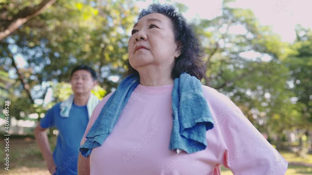 Group of Asian senior old people doing stretching warm up exercise inside public park, turning body flexibility, healthy retirement life, spending time together outdoor activities, vitality wellness Group of Asian senior old people doing stretching warm up exercise inside public park, turning body flexibility, healthy retirement life, spending time together outdoor activities, vitality wellness