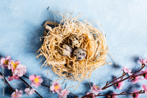 quail eggs inside nest in a easter background