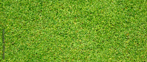Lawn pattern texture background