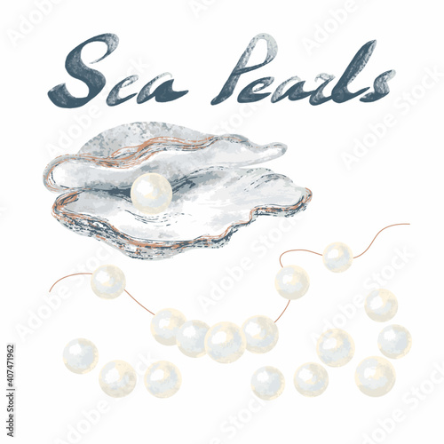 Set of sea pearls. An open seashell with a piece of jewelry, a string with pearls, beads separately isolated on a white background. Hand-drawn sketch.