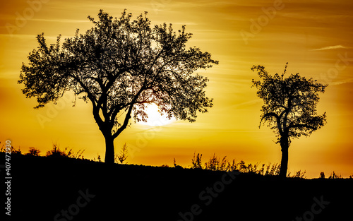Landscape  silhouette  Germany - Two trees and a wonderful autumn sunset on a field near Marburg.
