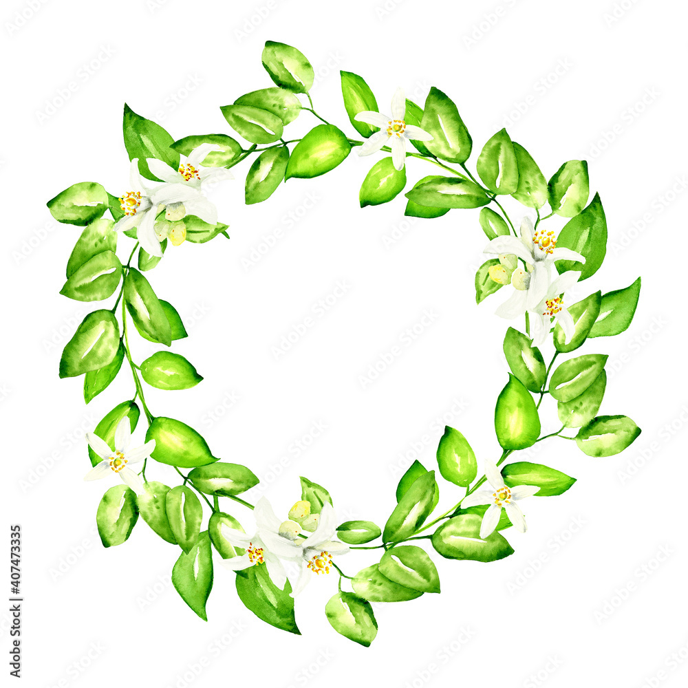 Hand drawing watercolor illustration of wreath of green leaves
