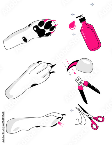 How to take care of dog`s feet instruction.Vector glamour banner in doodle style.Grooming salon or hygiene at home.Correct clipping of nails and fur,paw massage.Pet shop.Healthy canine.Pink and black