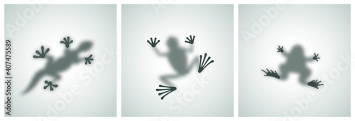 Diffuse Reptiles Silhouettes Shadow Abstract Vector Images Set. Toad, Frog, Lizard, Gecko or Chameleon Sitting on a Matte Glass. Isolated