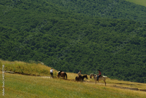 Horseback riding in direct contact with nature