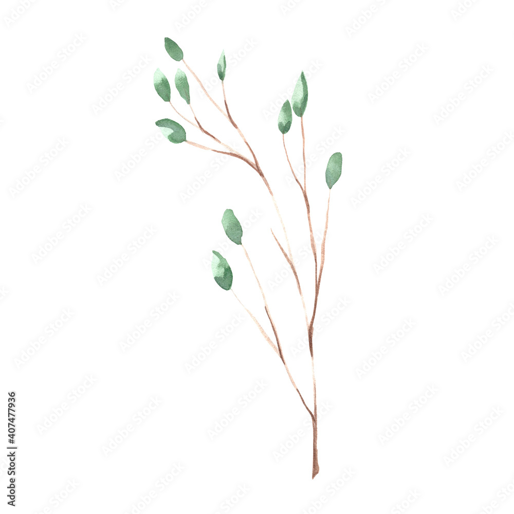 Watercolor illustration of a twig with leaves on a white background