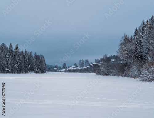 Snow-covered meadows and forest in the valley of the Stone Hill park on a frosty winter day. Beautiful landscape with conifer forest and village at the distanse on snowy sunny day.
