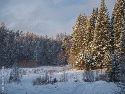 Snowy road and wooden bridge across the stream in conifer forest on a frosty sunny evening.