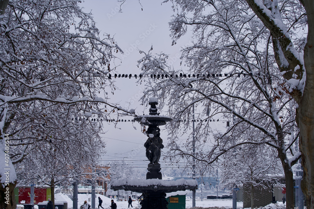 Fototapeta premium Fountain and trees covered with snow, Zurich, Switzerland.