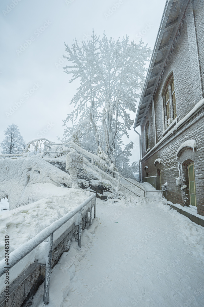 Obraz premium The branches of a tree covered with ice and the old building is covered with snow. Helsinki, Finland Vanhakaupunki