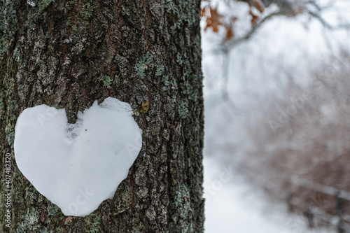Sculpted heart from snow on a tree.