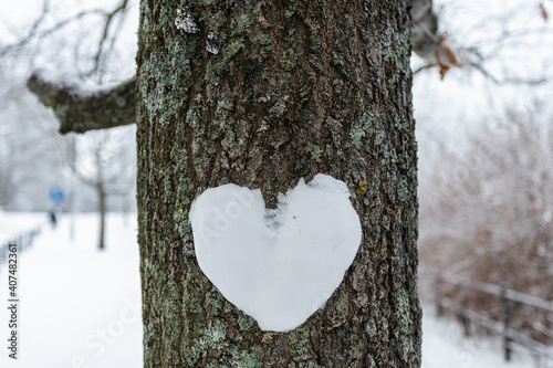 Sculpted heart from snow on a tree.